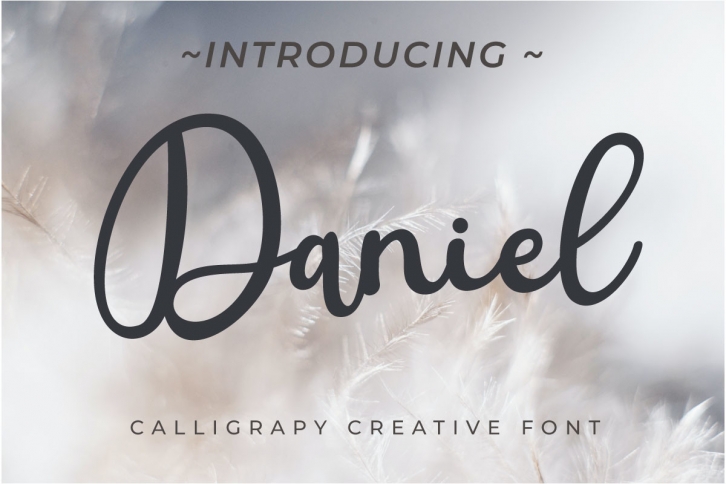 Daniel Font Download