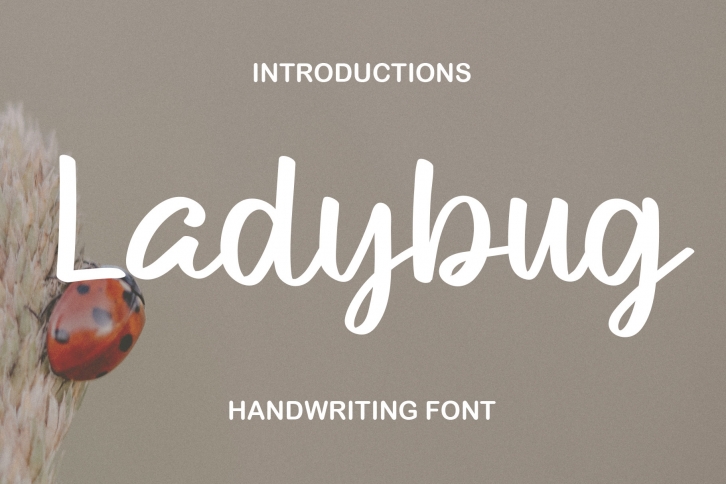 Ladybug Font Download