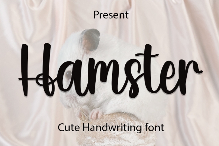 Hamster Font Download