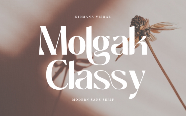 Molgak Classy Font Download