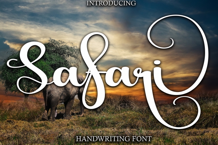 Safari Font Download