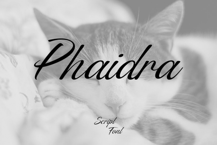 Phaidra Font Font Download