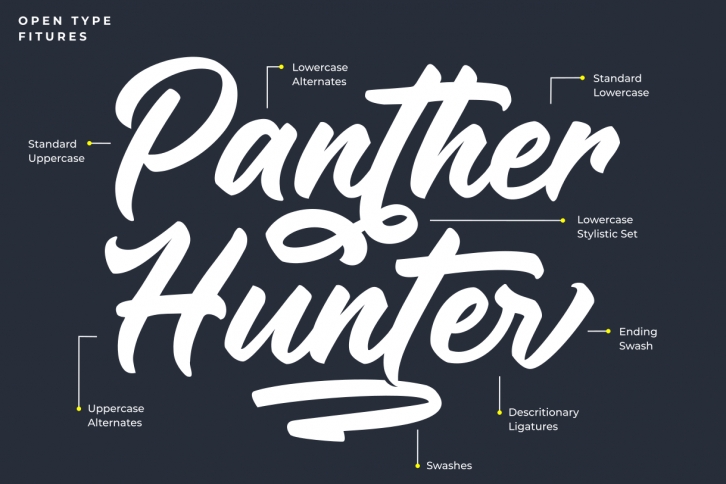 Panther Hunter Onl Font Download