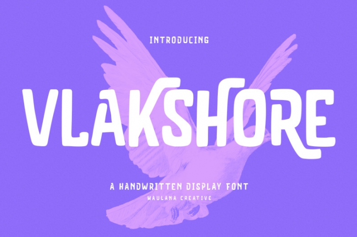 Vlakshore Decorative Display Font Font Download