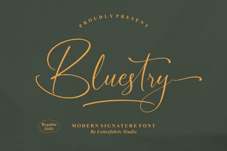 Bluestry Modern Signature Font Font Download