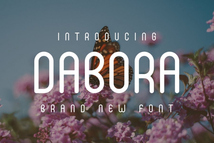 Dabora Font Font Download