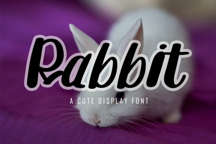 Rabbit Font Download