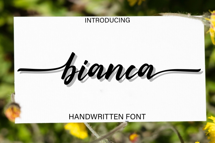 Bianca Font Download