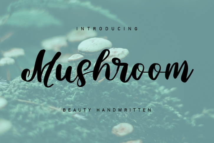 Mushroom Font Download