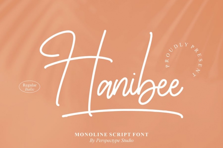 Hanibee Monoline Script Font Font Download