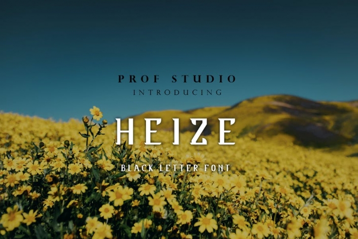 Heize - Typeface Font Download