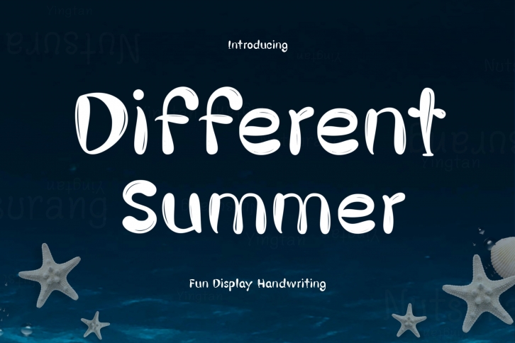 Different Summer  Font Download