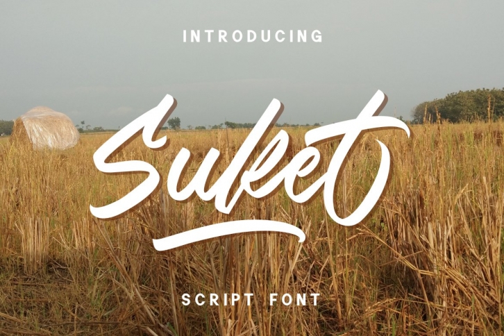 Suket Font Download