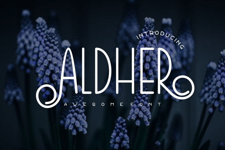 Aldher Font Download