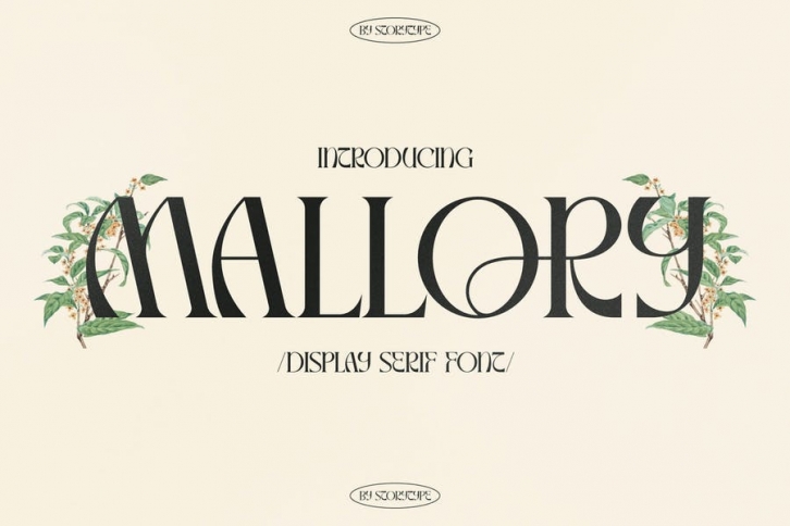 Mallory Display Serif Font Font Download