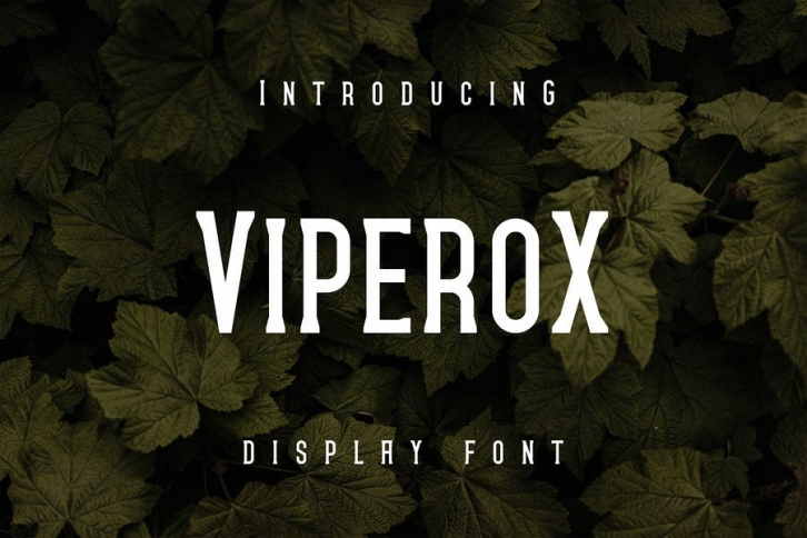 Viperox Font Font Download