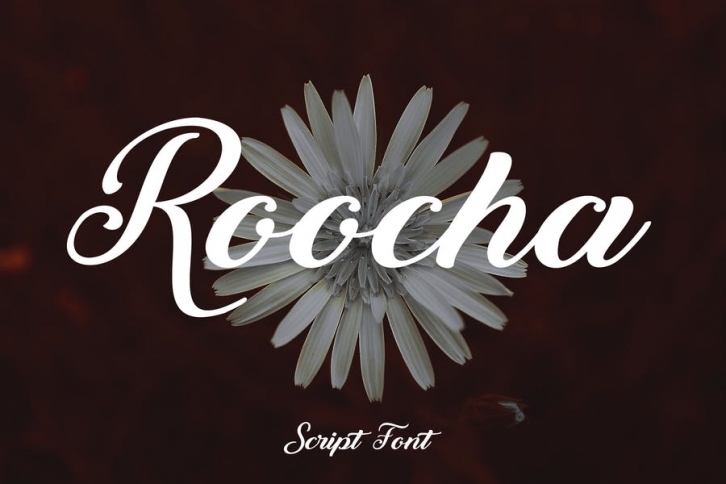 Roocha Script Font Font Download