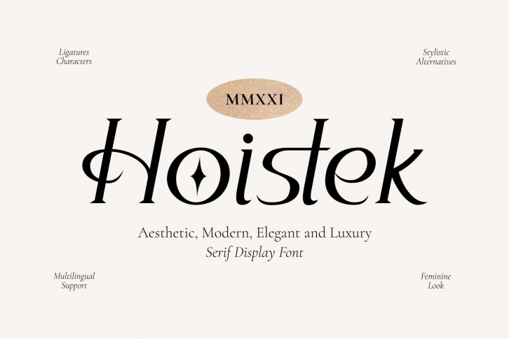 Hoistek Font Download