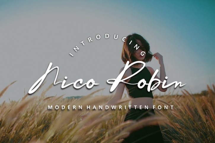 Nico Robin Handwriten font Font Download