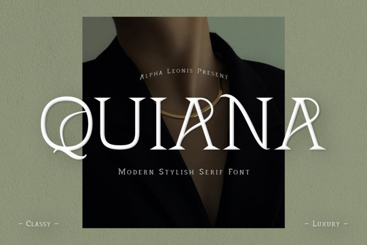 Quiana Serif Font Font Download