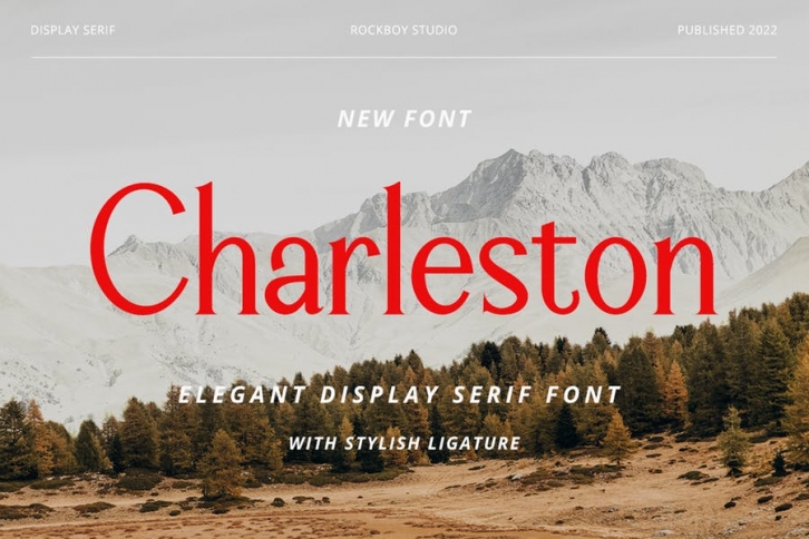 Charleston - Modern Stylish Font Download