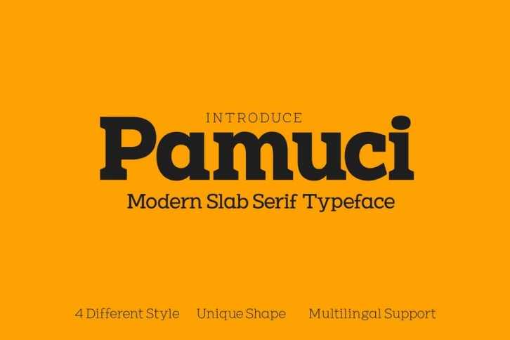 Pamuci - Modern Slab Serif Typeface Font Download