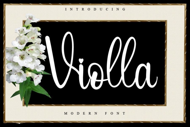 Violla Font Download