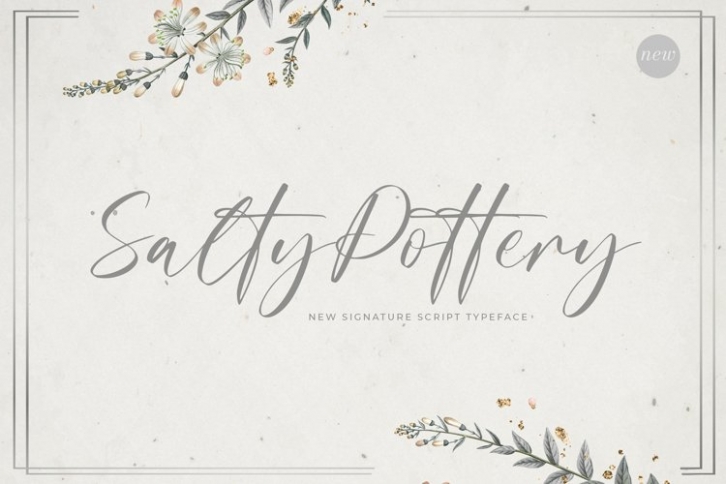 Salty Pottery Font Download