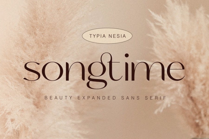 Songtime - Elegant Beauty Contrast Sans Serif Font Download