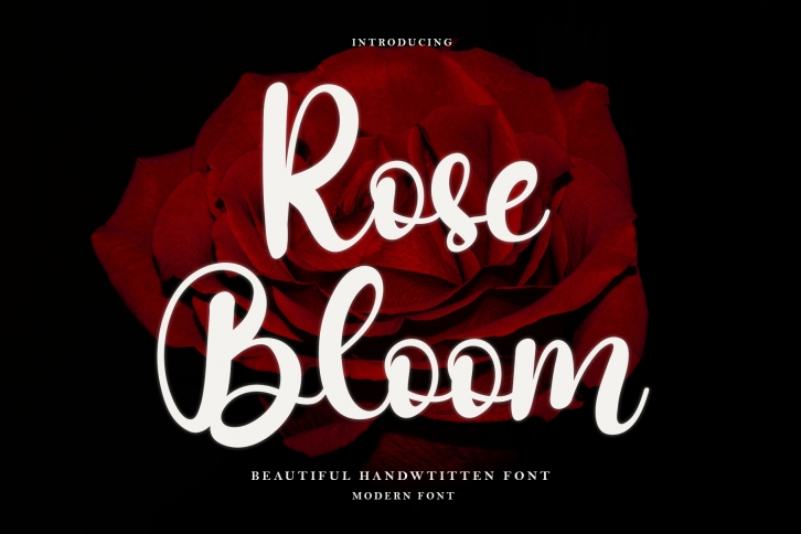 Rose Bloom Font Download