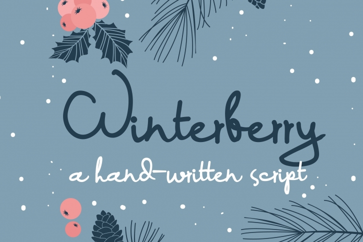 PN Winterberry Font Download