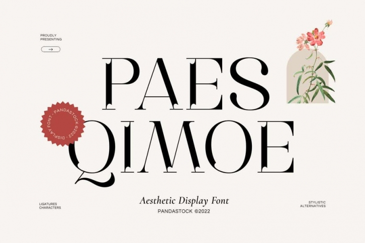 Paes Qimoe Font Download