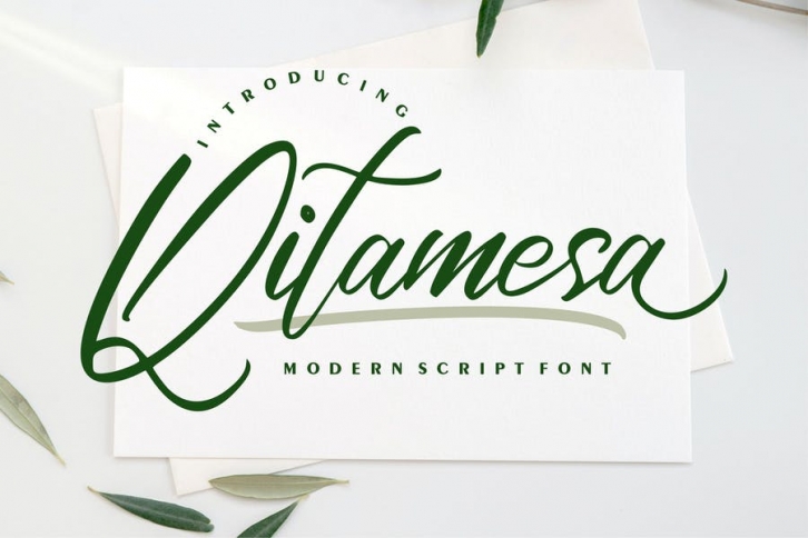 Qitamesa | Modern Script Font Font Download