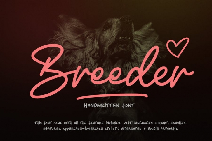 Breeder Script Font Download