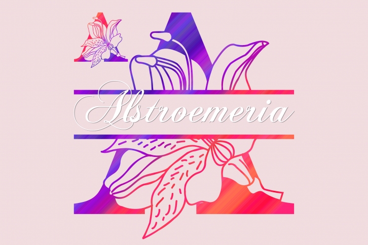 Alstroemeria Split Font Download