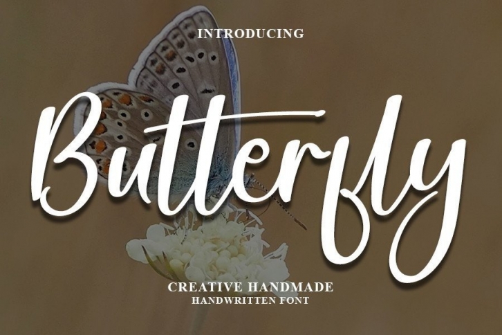 Butterfly Font Download