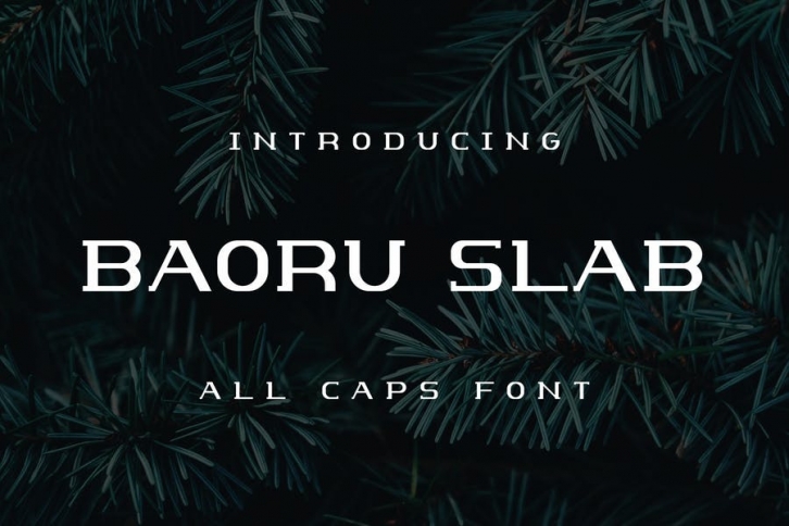 Baoru Slab Font Download