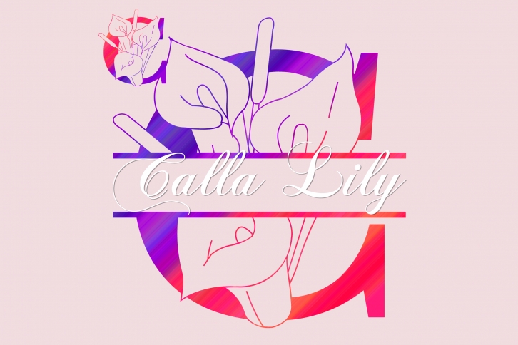Calla Lily Split Font Download