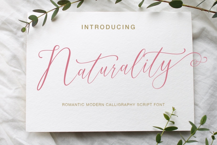 Naturality Script Font Download