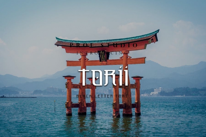 Torii - Typeface Font Download