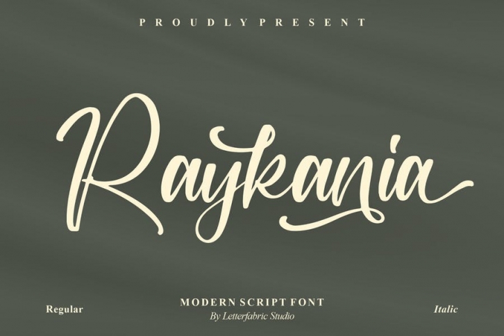 Raykania Modern Script Font Font Download