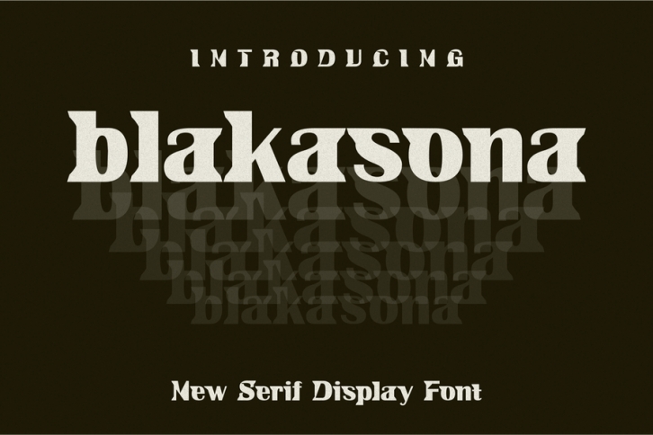 Blakasona Font Font Download