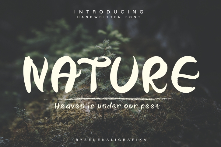 Our Nature Font Download