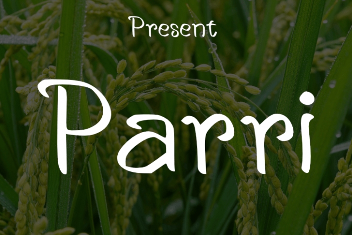 Parri Font Download