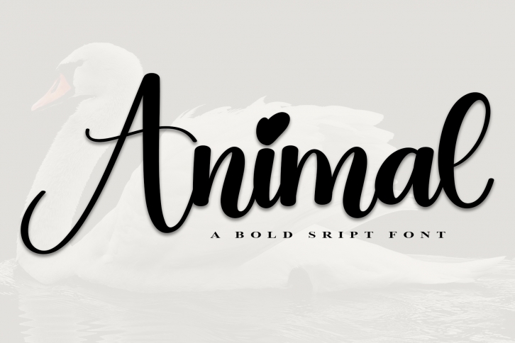 Animal Font Download