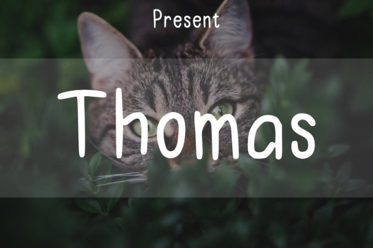 Thomas Font Download