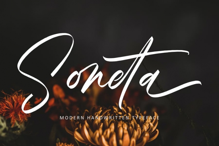 Soneta Font Download