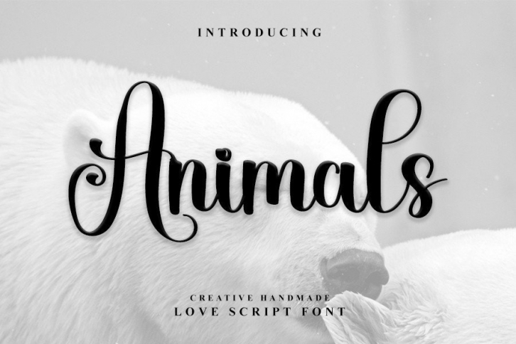 Animals Font Download