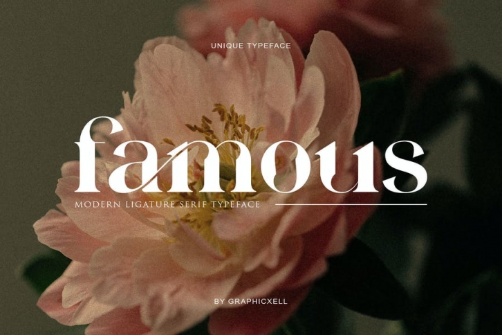 Famous Serif Font Font Download