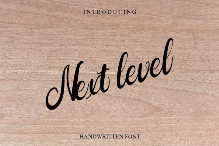 Next Level Font Download